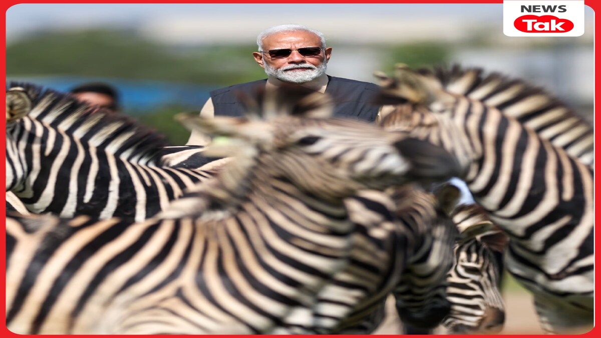 PM Modi in Vantara PM Modi in Vantara