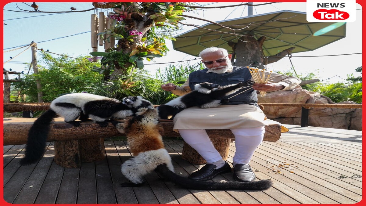 PM Modi in Vantara PM Modi in Vantara