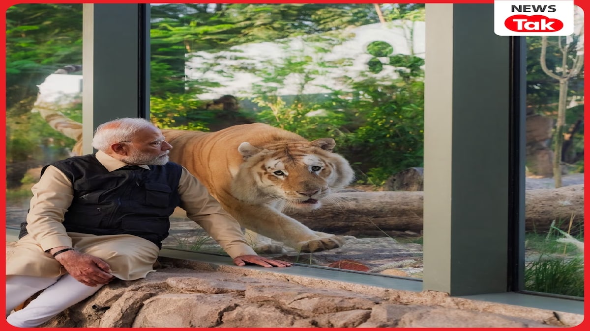 PM Modi in Vantara PM Modi in Vantara