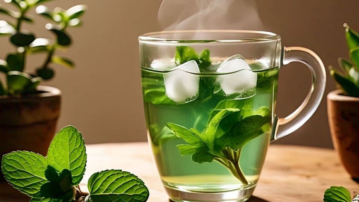 गर्मियों में पुदीना क्यों है फायदेमंद? गर्मियों में पुदीना क्यों है फायदेमंद?