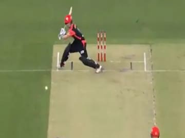 नो बॉल नो बॉल