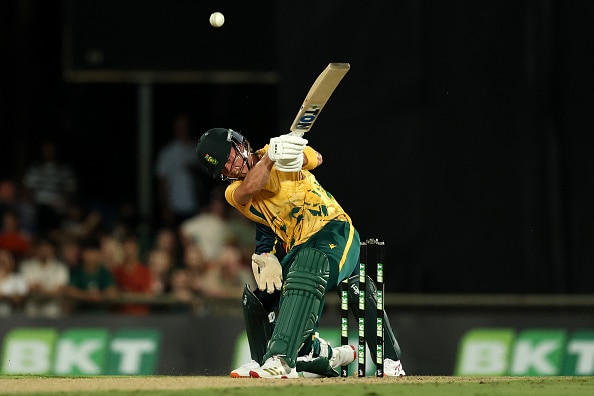 dewald brevis