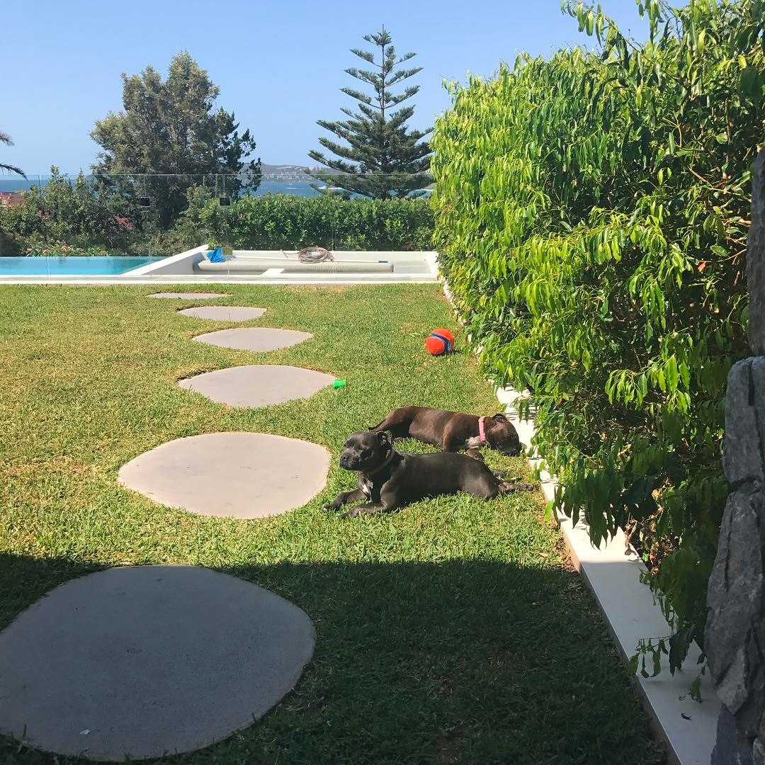 Mitchell Starc Mitchell Starc