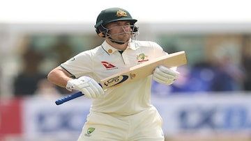 Josh Inglis Josh Inglis