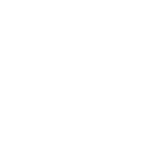 google-icon