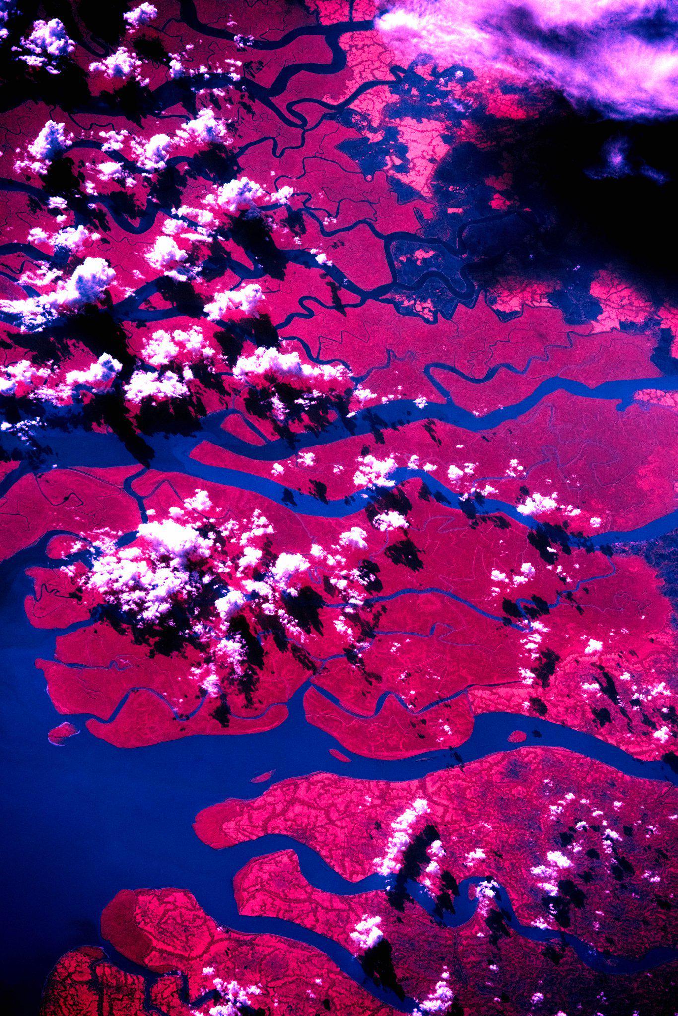 ছবিটি তুলেছেন নাসার মহাকাশচারী Don Pettit।