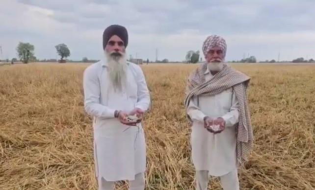 किसानों की महीनों की मेहनत मिनटों में खत्म