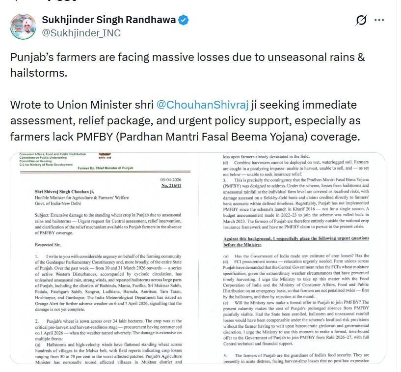 गेहूं की फसल तबाह, सांसद सुखजिंदर सिंह रंधावा ने केंद्र से मांगी तुरंत राहत