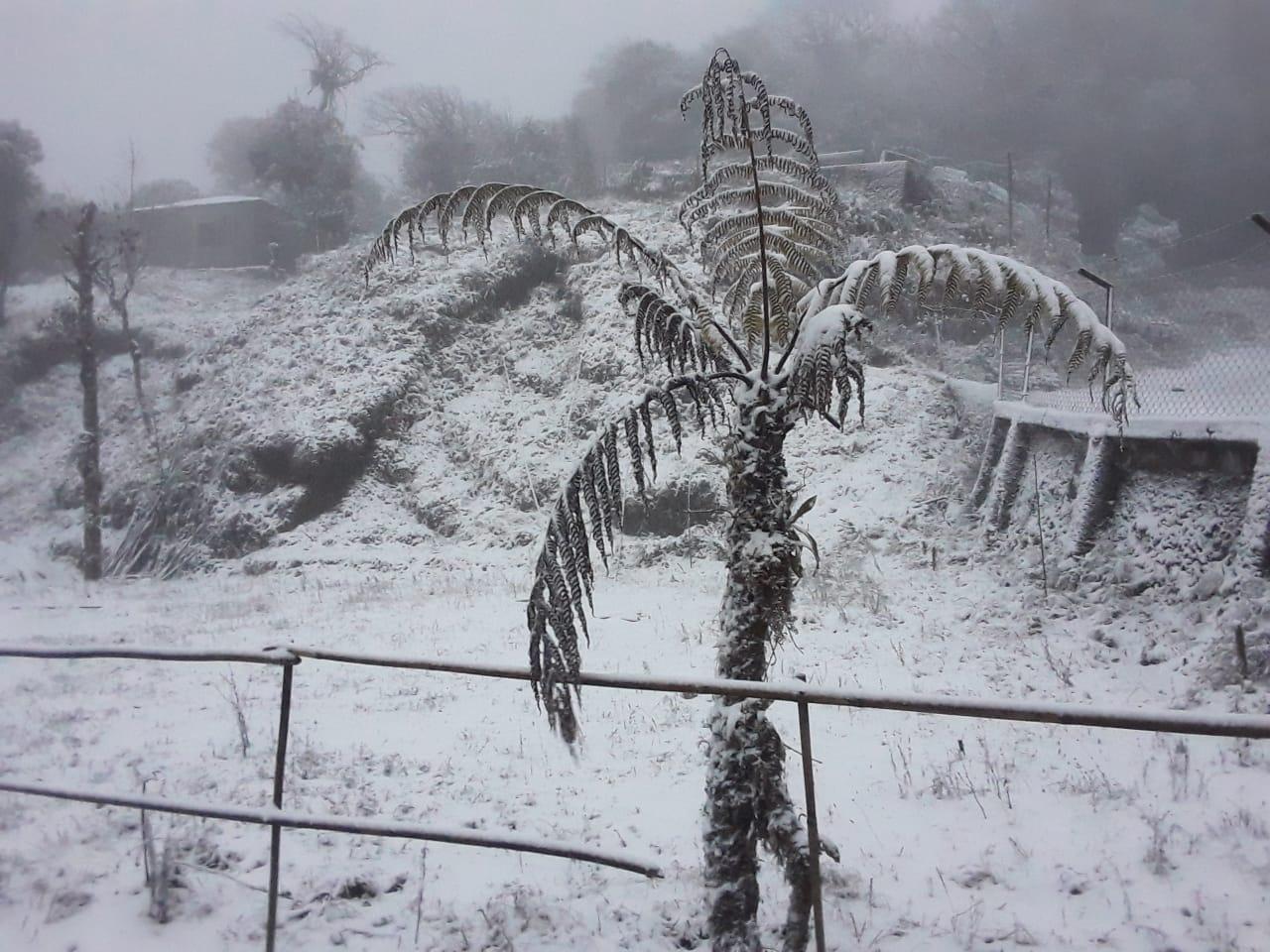 বরফে ঢাকা দার্জিলিং