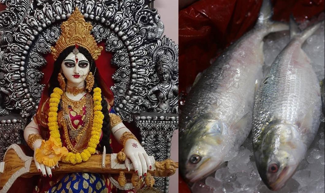 Saraswati Puja jora Ilish Boron and biye bengali rituals- সরস্বতী পুজোয় জোড়া ইলিশ বরণ 