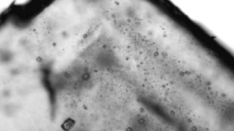 লবণে পাওয়া অণুজীব জীবিত হতে পারে (Photo: Sara Schreder Gomes)