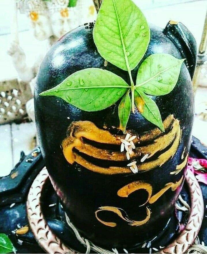 Shravan Maas 2022 Why Srawan is Lord shiva favourite month know the monday