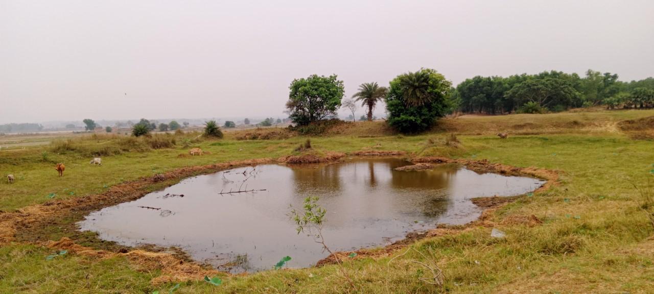 এই সেই পুকুর