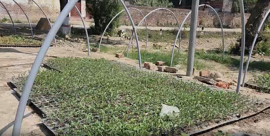टपक पद्धति से खेतों में सिंचाई