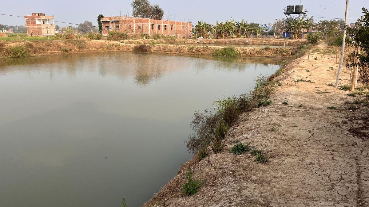  अंगुलिका संचयन, केज,पेन आधारित मछली पालन को बढ़ावा