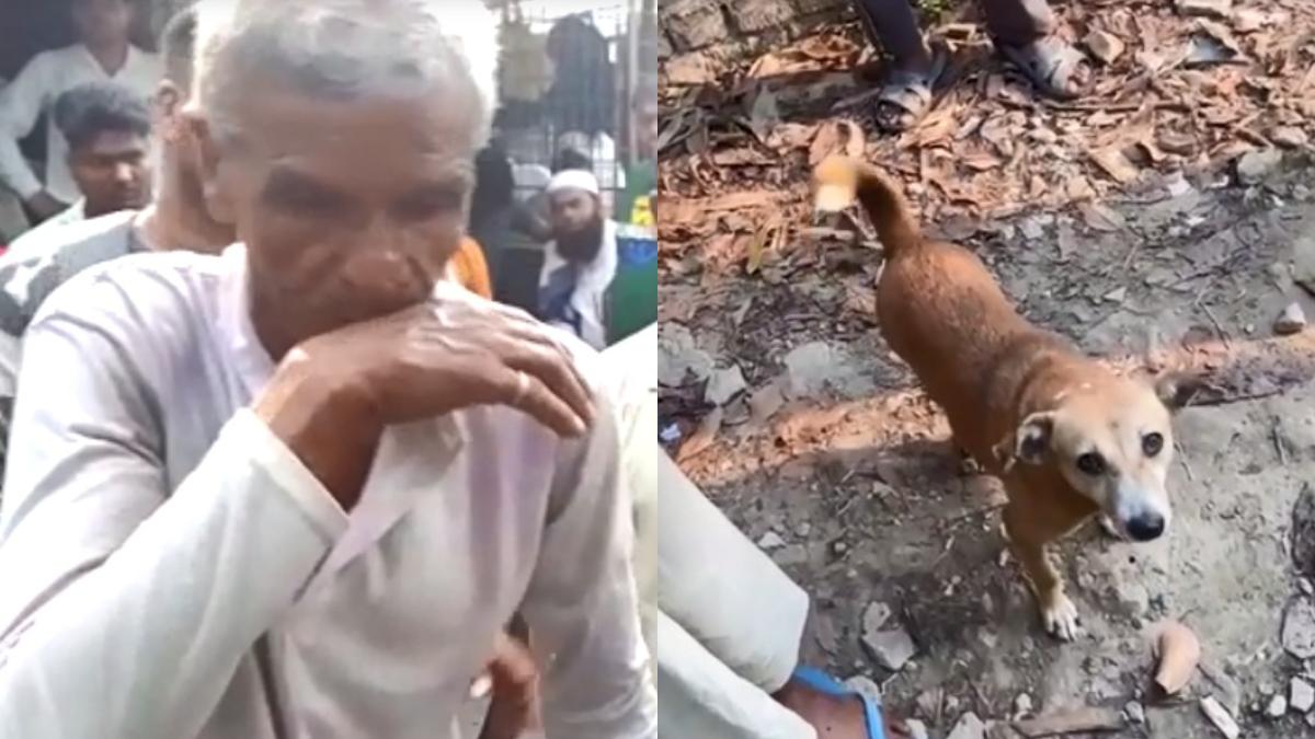 সোনারপুরে কুকুরকে ২ বছর ধরে ধর্ষণ করার অভিযোগে ধৃত প্রৌঢ় 