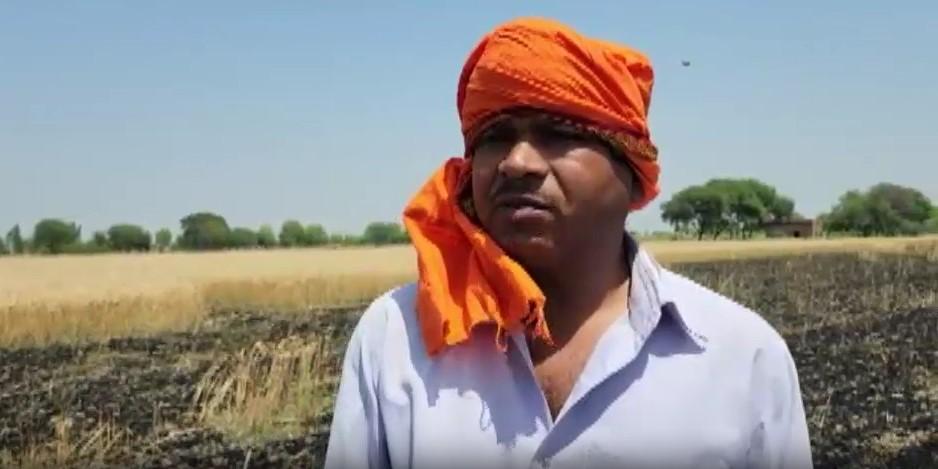 hamirpur wheat grain fire
