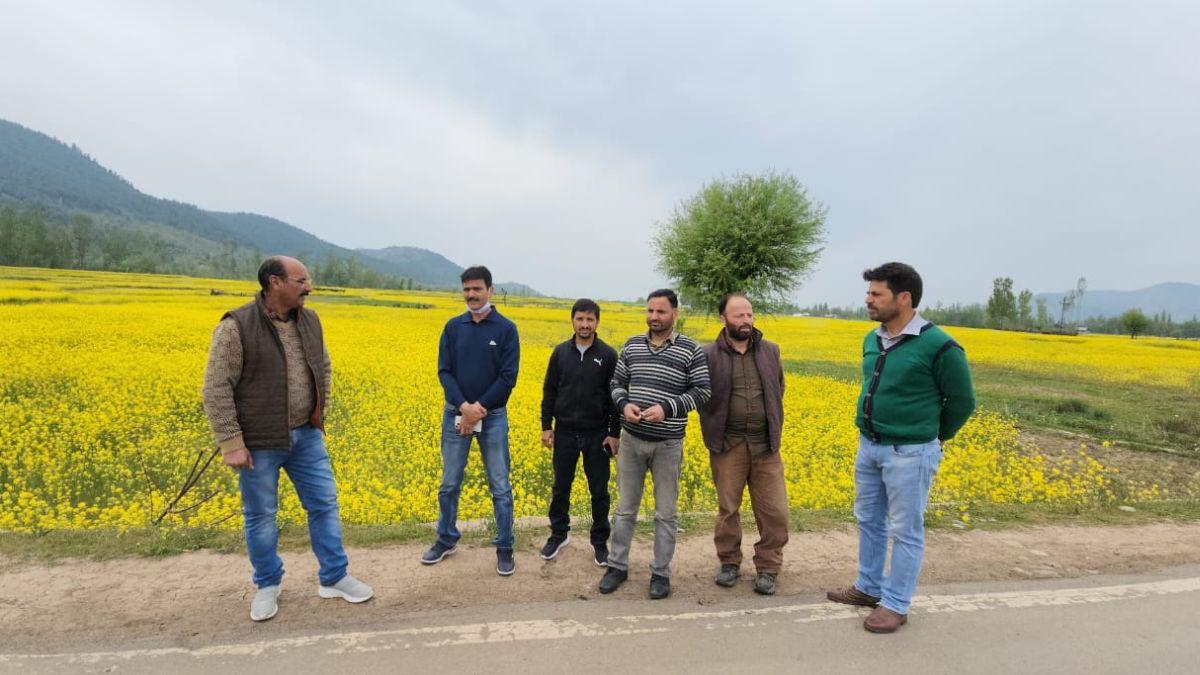 सरसों के खेत में कृषि विभाग की टीम. फोटो क्रेडिट- कृषि विभाग