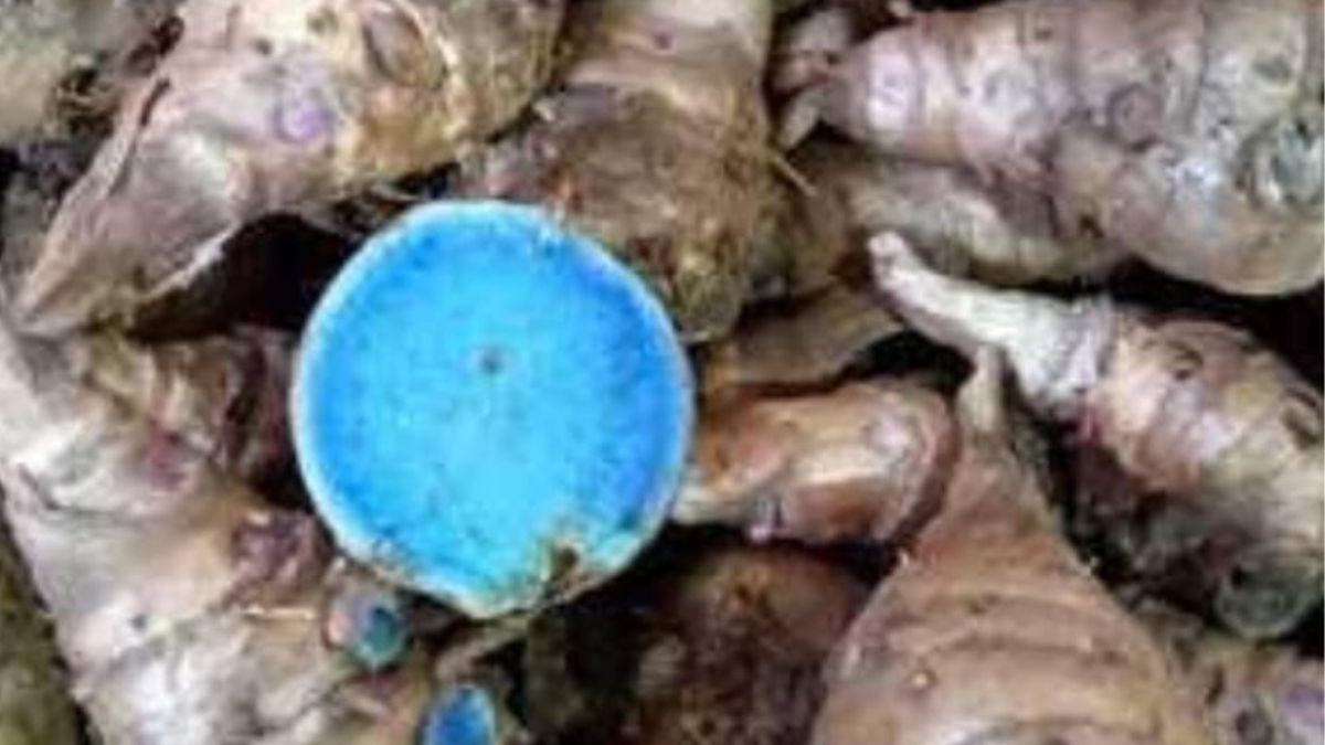 काली हल्दी की 400 से 500 रुपए प्रति किलो बाजार में भाव है. फोटो किसान तक