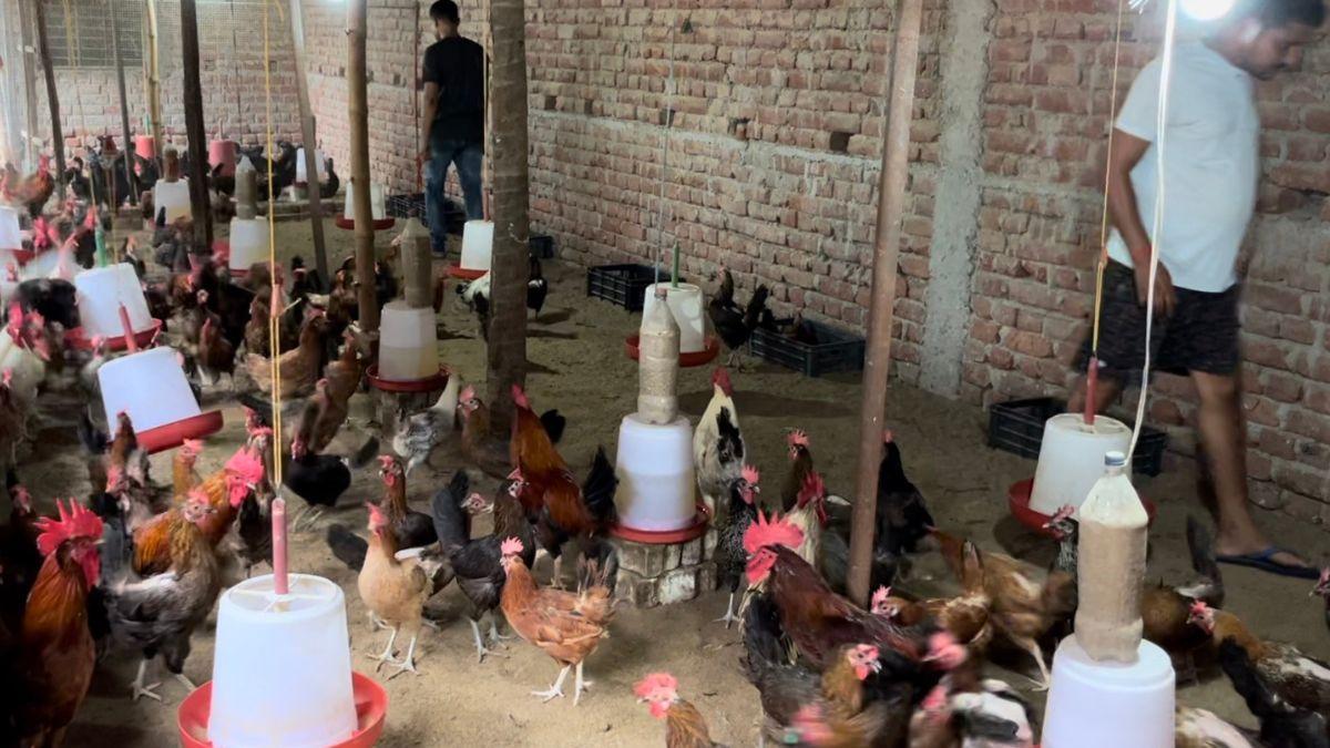 एक ही स्थान पर बत्तख,मुर्गी,बटेर पालन के साथ देसी अंडा का कर रहे बिजनेस. फोटो- किसान तक