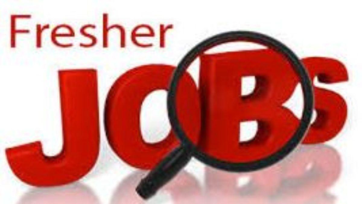 IT इंडस्ट्री में नौकरी खोजने वाले फ्रेशर्स की मायूसी कम होने का नाम नहीं ले रही है