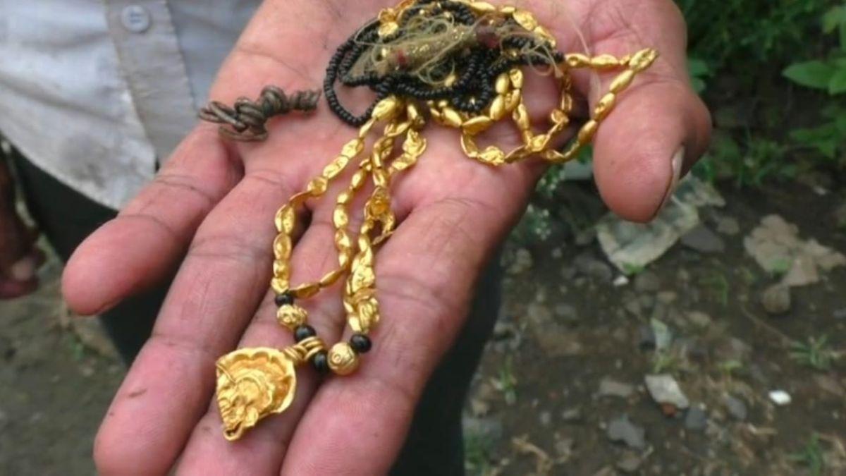  भैंस के पेट से निकला मंगलसूत्र 