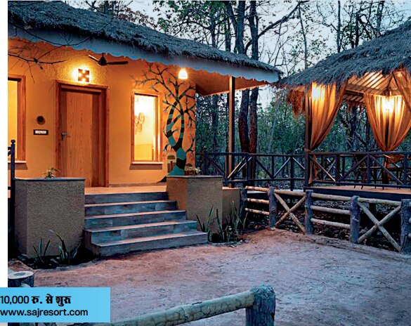 द जंगल बुक से प्रेरित साज इन द फॉरेस्ट