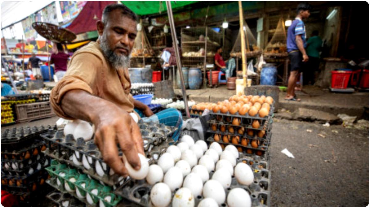 Egg Price Hike
