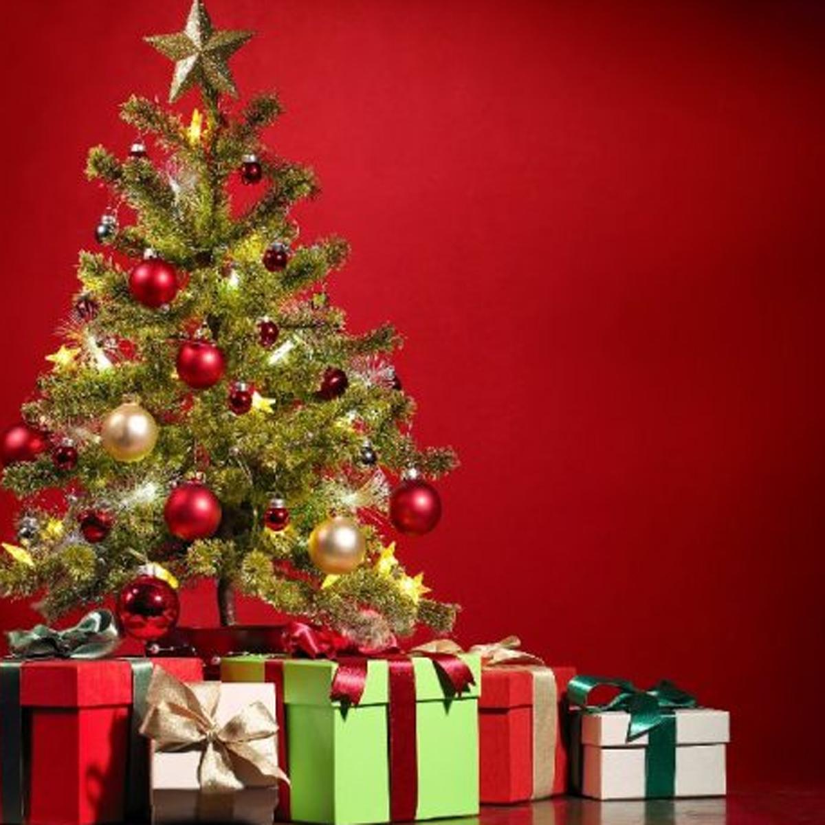 merry christmas 2023