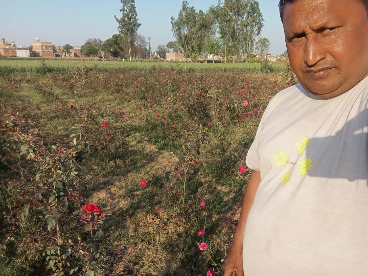 कम लागत में होती है मोटी कमाई