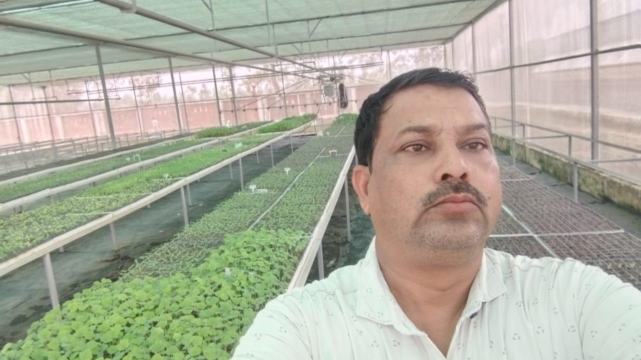 रायबरेली के उद्यान निरीक्षक नरेंद्र प्रताप सिंह