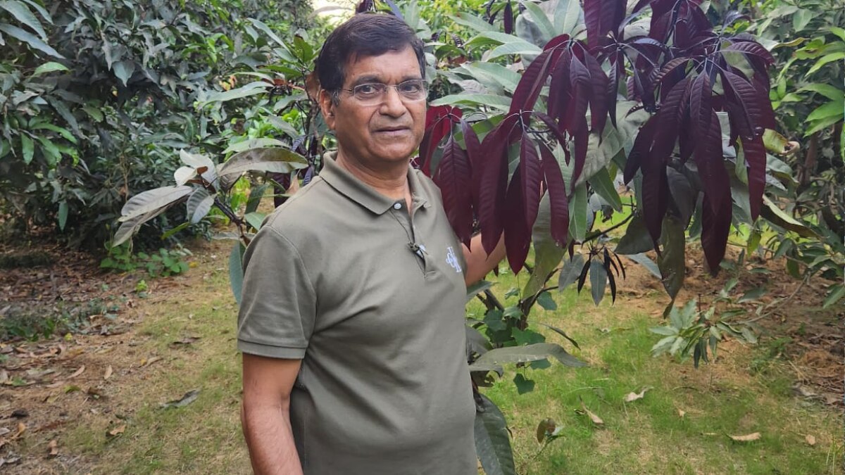 आम उत्पादक नेशनल अवार्ड विनर लखनऊ के किसान एससी शुक्ला