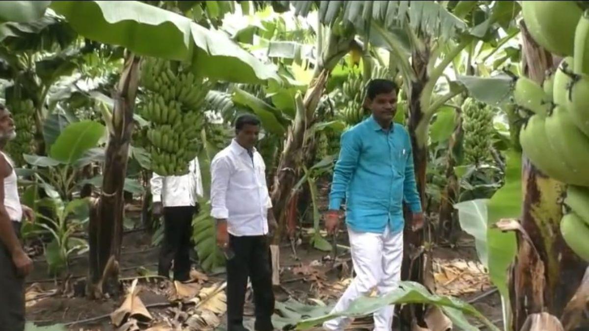 केले का खेत दिखाते हुए परिवार