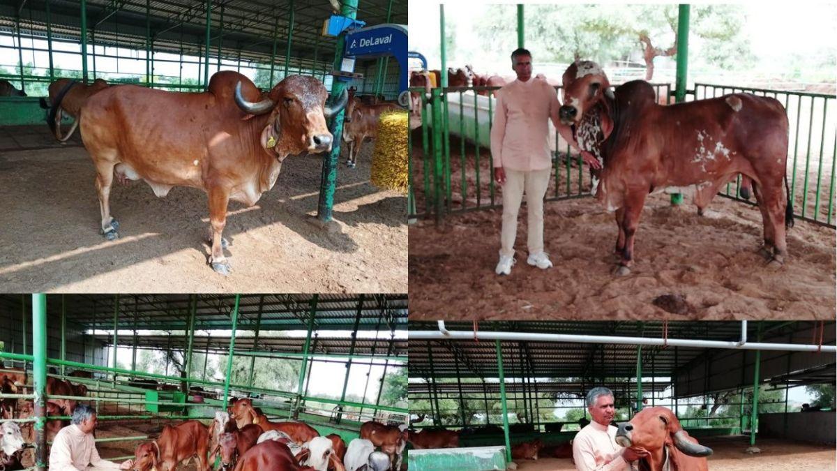 फसल वानिकी और फल बागवानी के साथ पशुपालन एक साथ