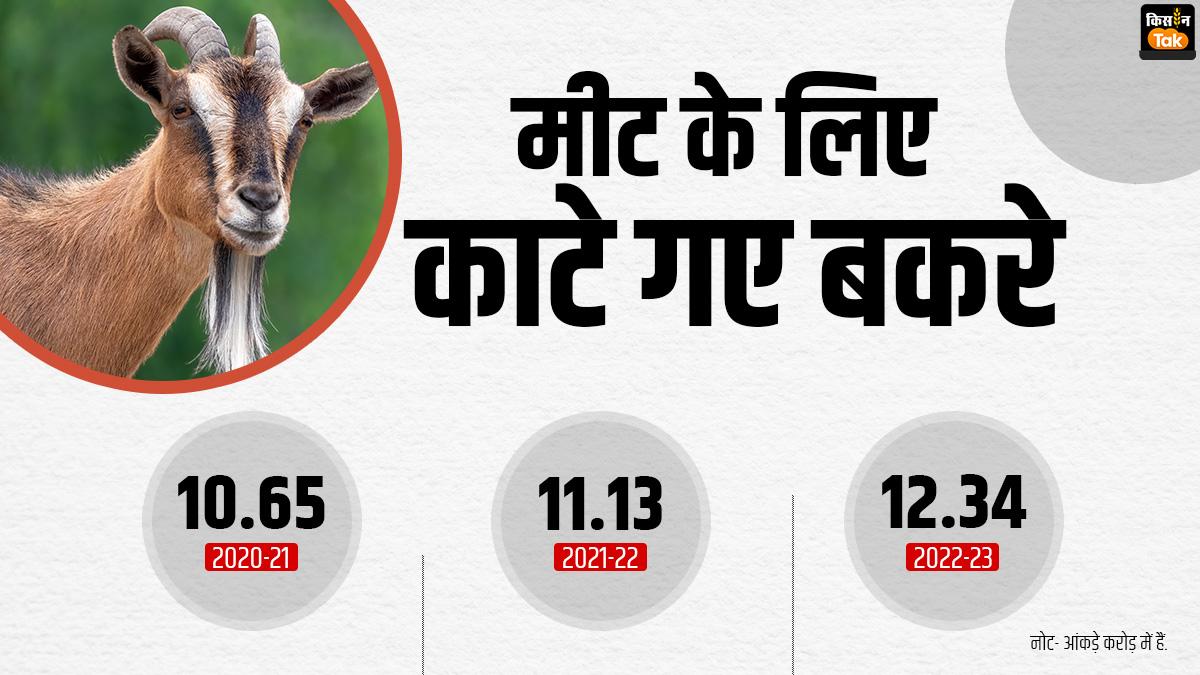 मीट के लिए काटे गए बकरों की संख्या. 