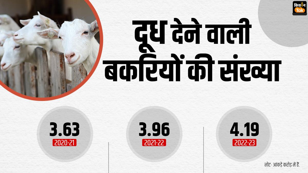 देश में दूध देने वाली बकरियों की संख्या.