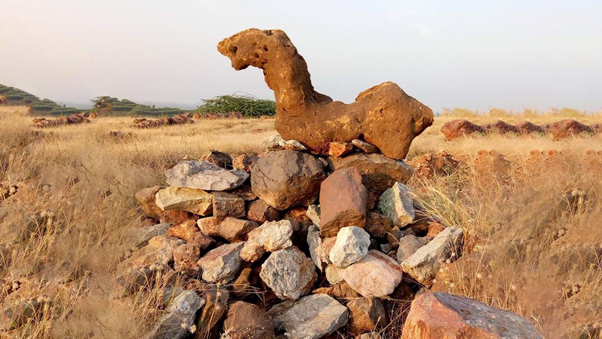 धार जिले में मौजूद एक जीवाश्म