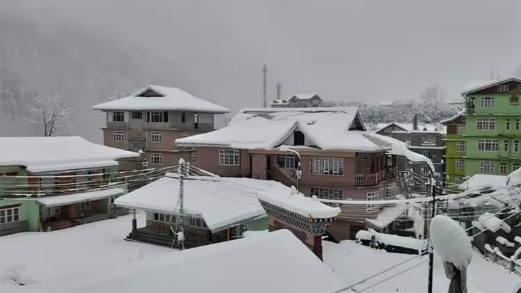 দার্জিলিং