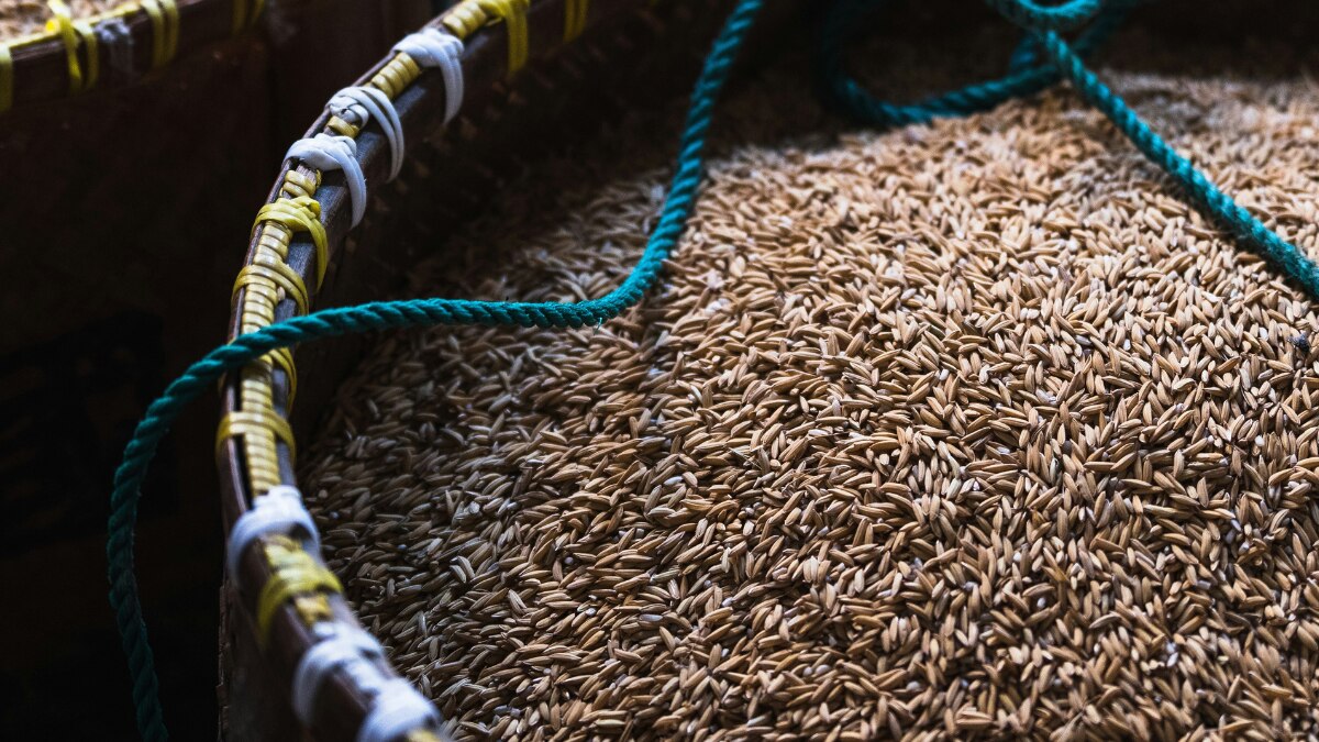 (फोटो-Unsplash)