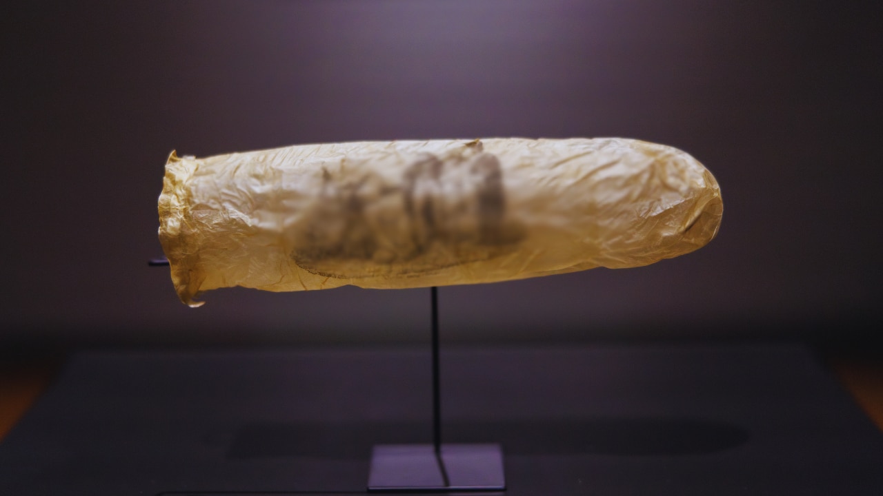 (Photo Credit: Rijksmuseum)
