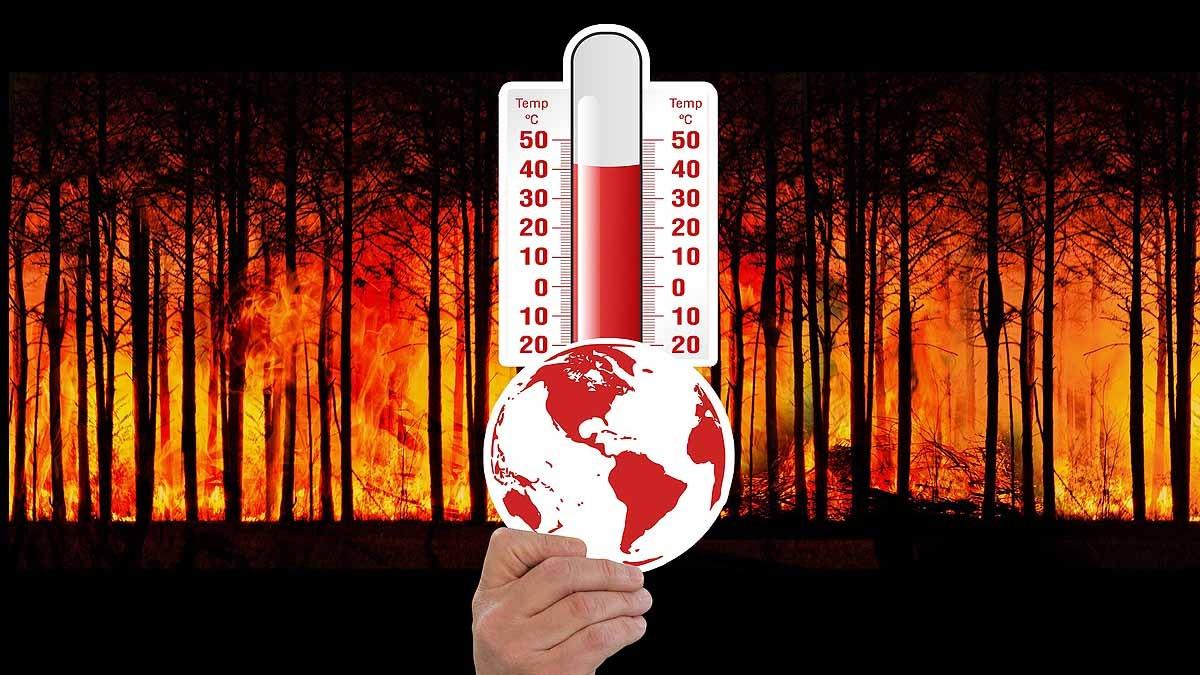 Climate Change India Food Shortage Fear India: ভারতের বড় অংশের মানুষের খাবারে টান, জলবায়ু পরিবর্তনের প্রভাব শুরু?