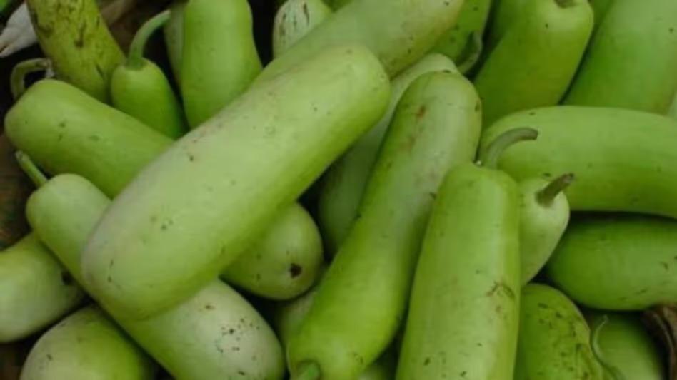 গরমে লাউ খান 