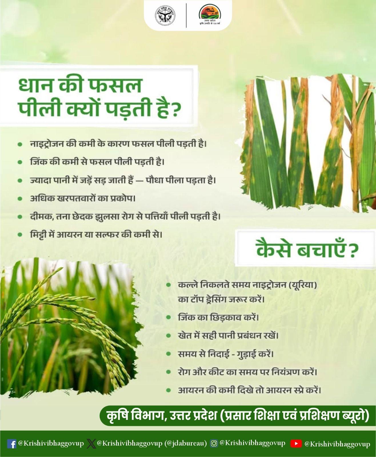 उप्र कृषि विभाग ने किसानों के लिए जारी की एडवाइजरी 