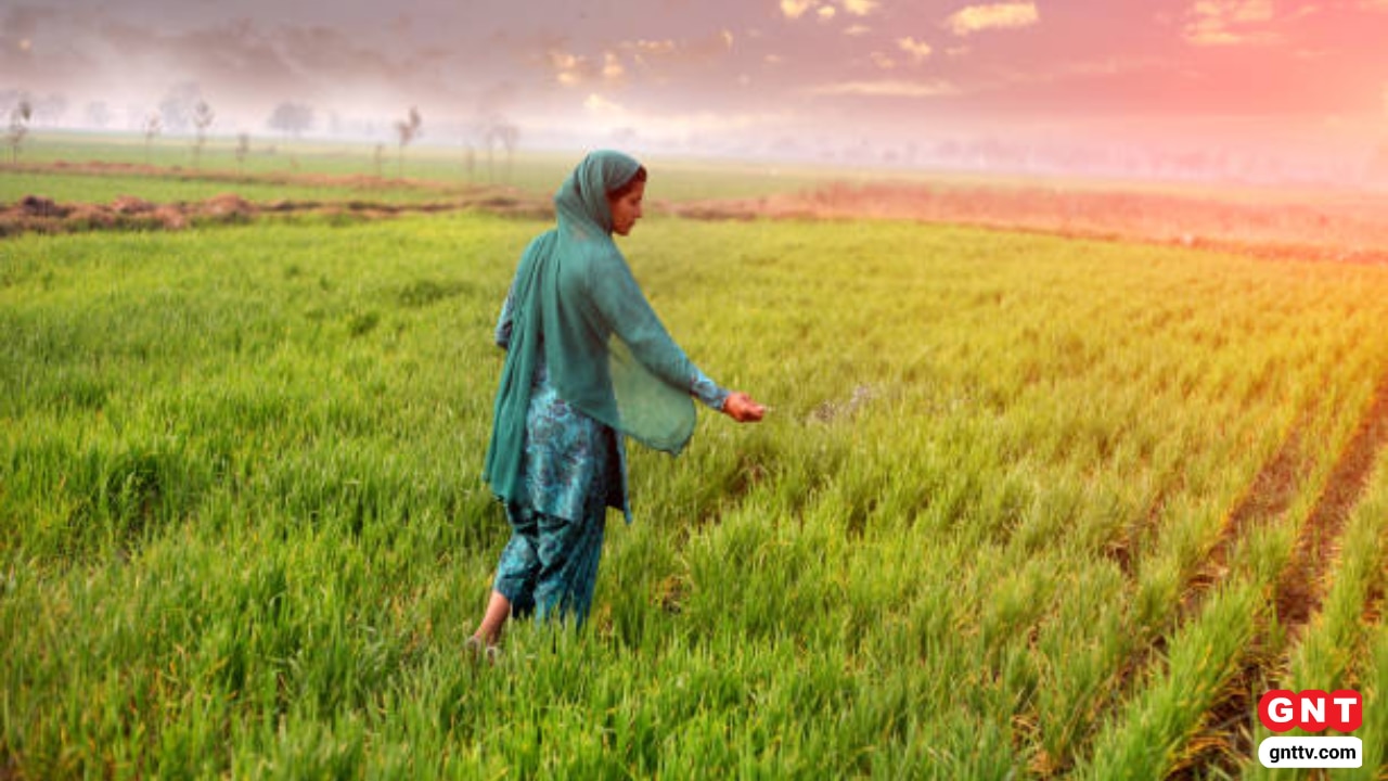 Farmers
