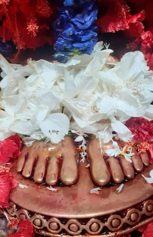 kaushiki amavasya