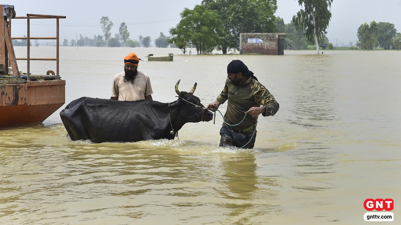Punjab Flood