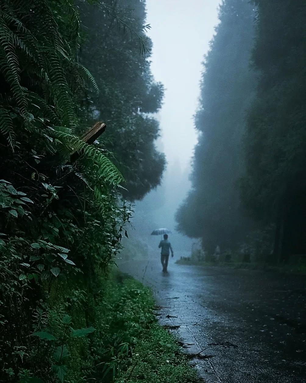 দার্জিলিং-এ বৃষ্টি