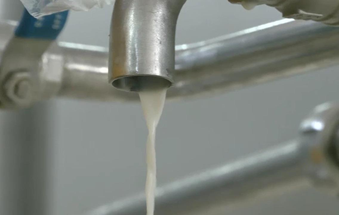 Goat milk farming
