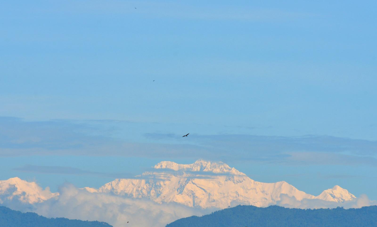 Kanchenjungha 