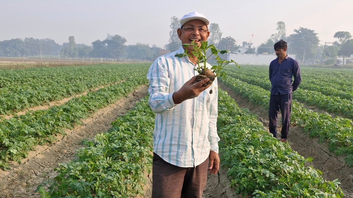 रामसरन वर्मा दूसरे किसानों के लिए रोल मॉडल हैं.
